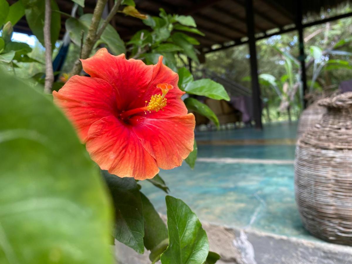 Casa Juana Palomino Hotel Kültér fotó