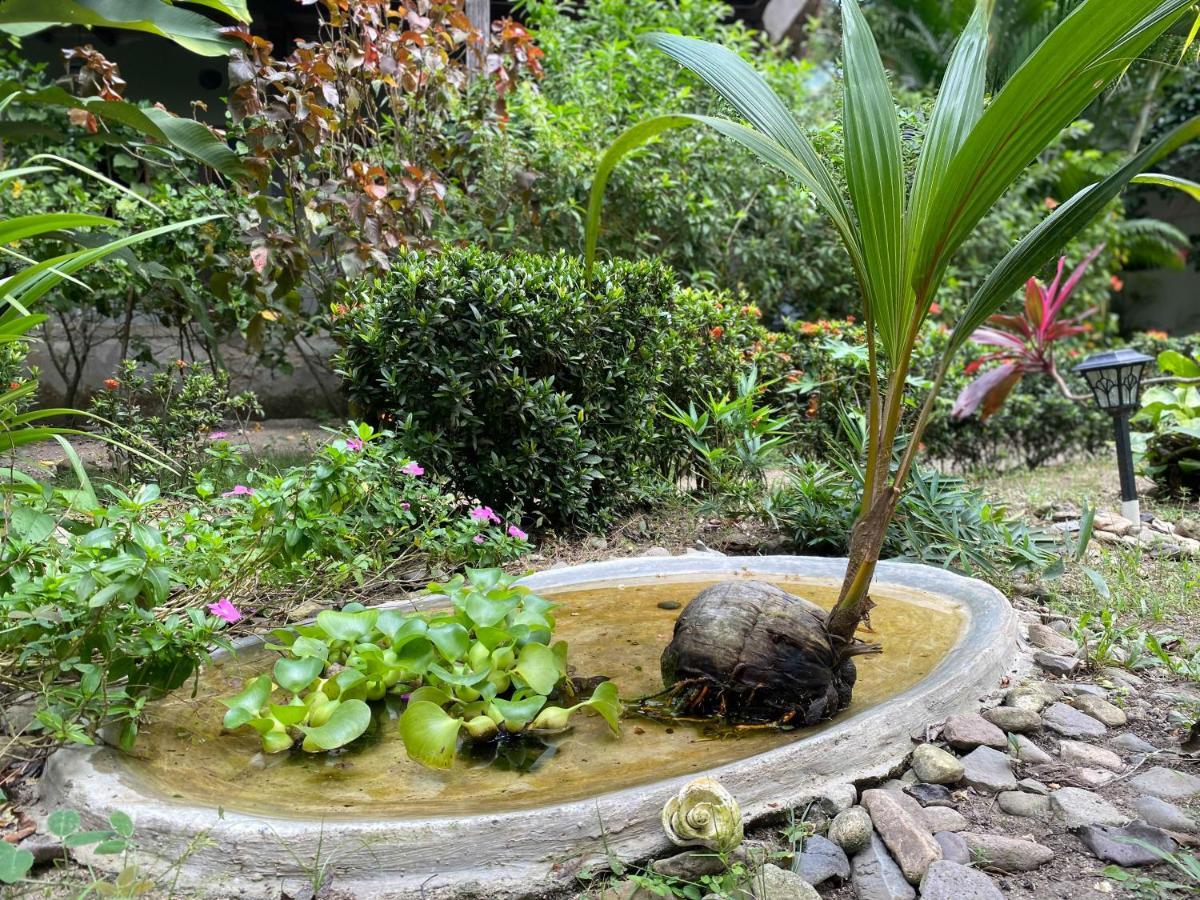 Casa Juana Palomino Hotel Kültér fotó